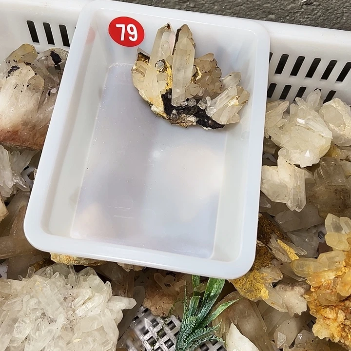 用***0银S925镶嵌珠宝半成品紫晶