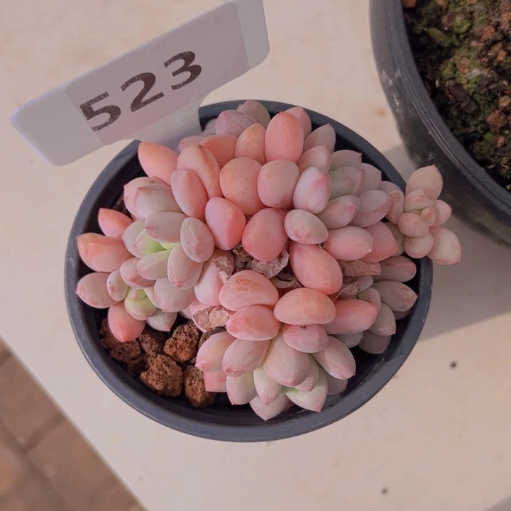 健健康康平平安安