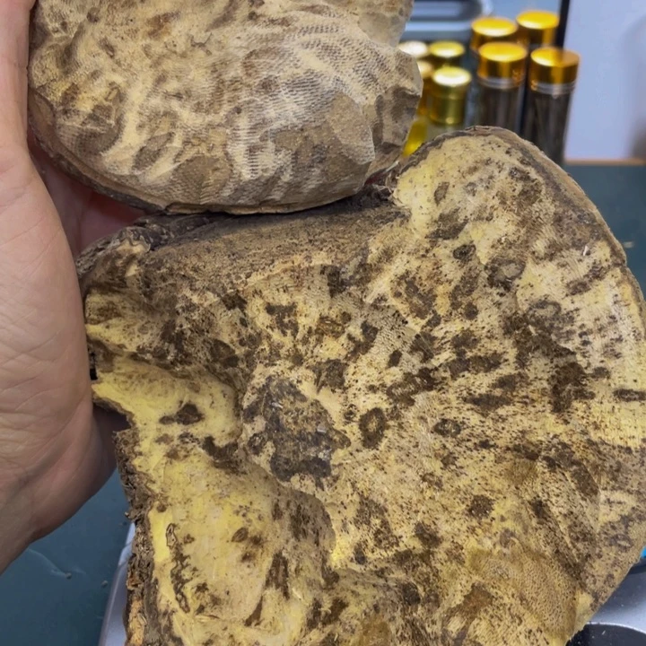 沉香沉香碎屑三*夫陆河板头