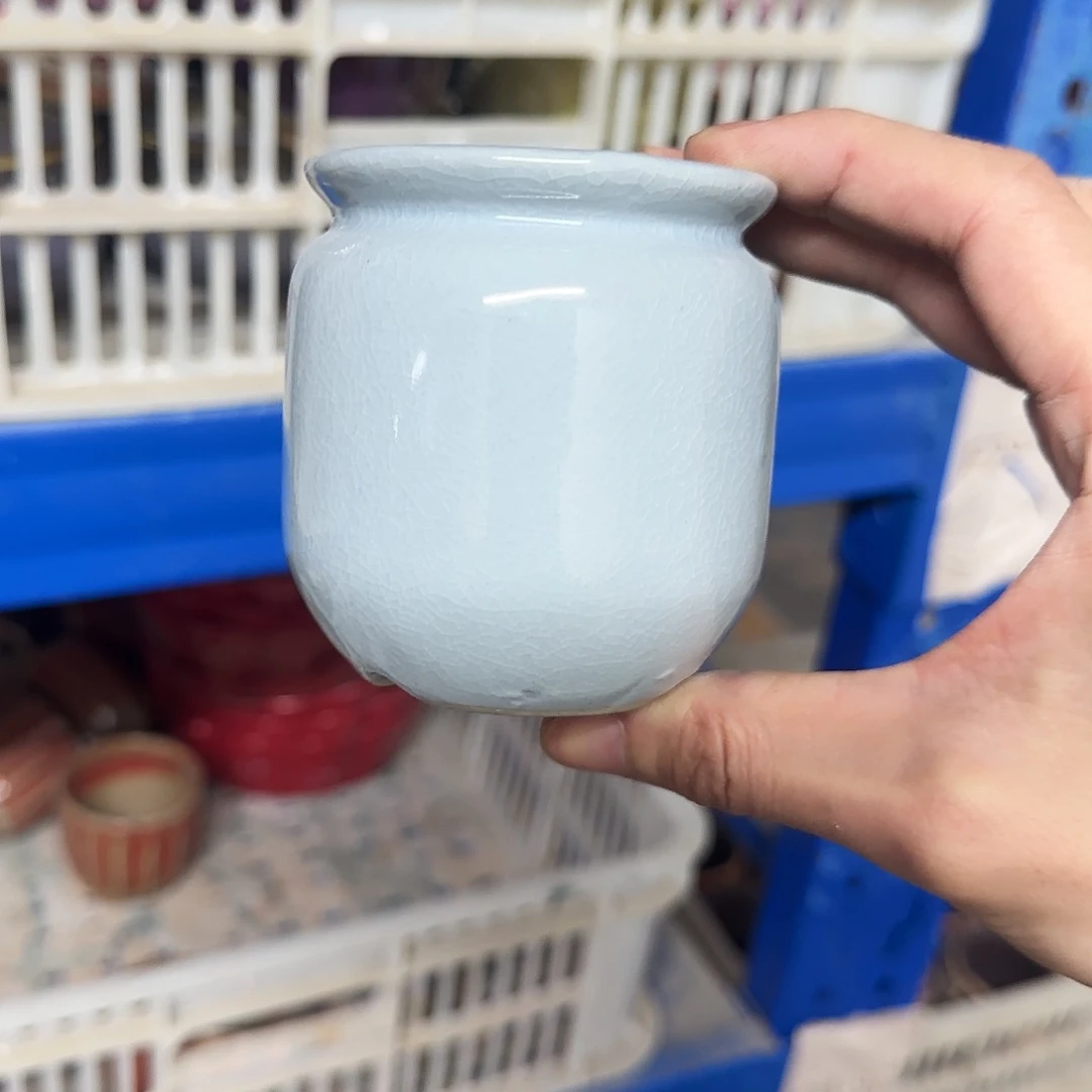 福利局绿植多肉盆［凑9元包邮24小时发］1047