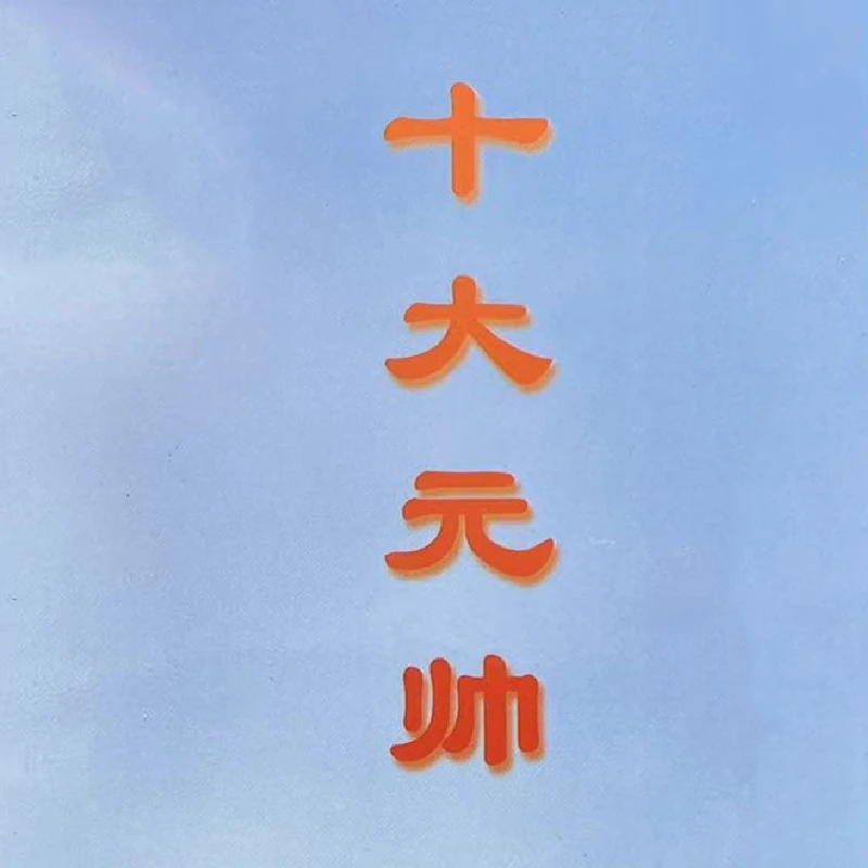 十大元帅纪念章 一套10枚 赠珍藏册 老物件有氧化有瑕疵