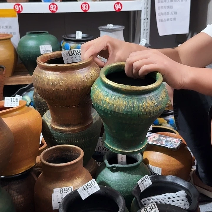 金色小鱼尾一对008