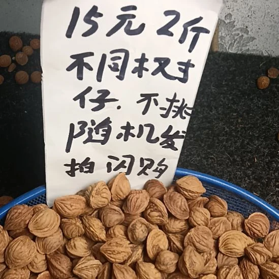 吊坠桃核野生山桃核龙麟15元2斤随机发