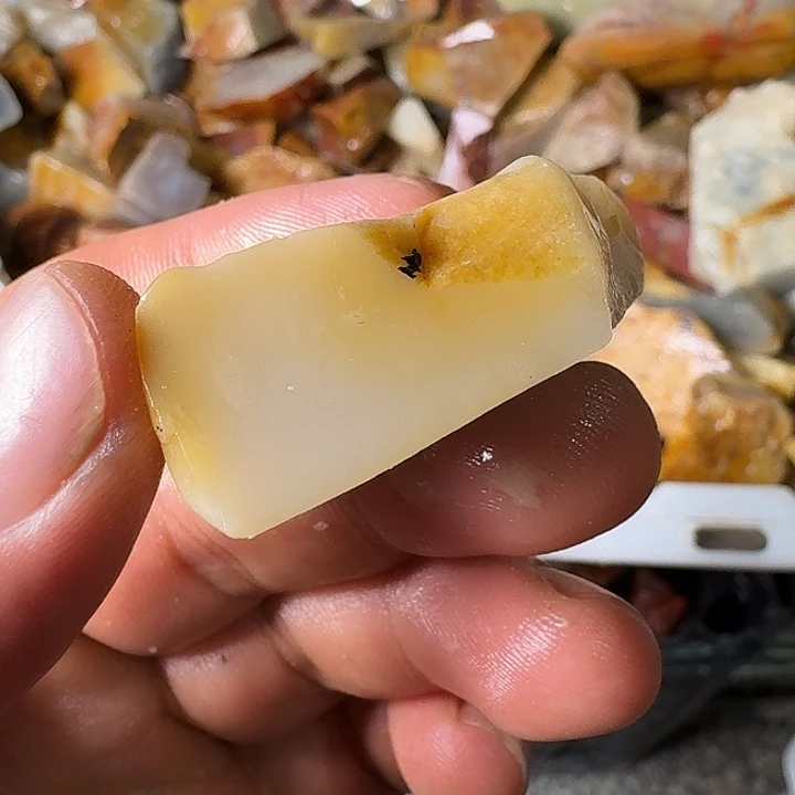 流***雨寿山石老挝石素质