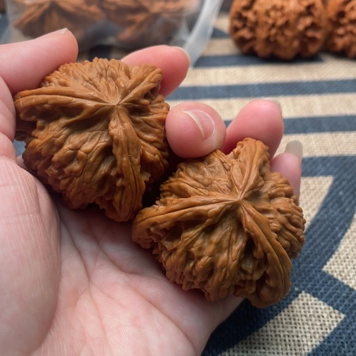 夜***苦核桃白狮子45核桃