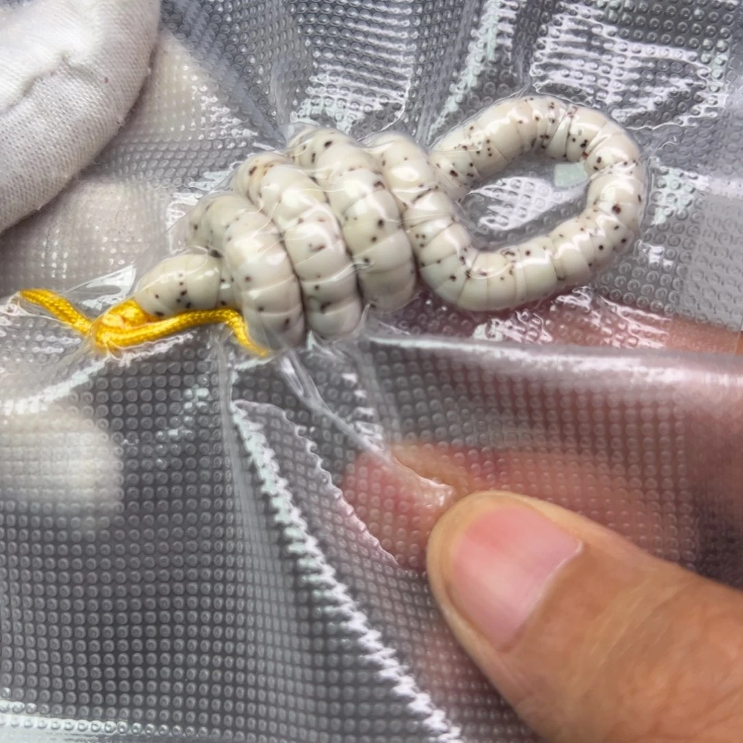 吊坠星月菩提大肠数星星