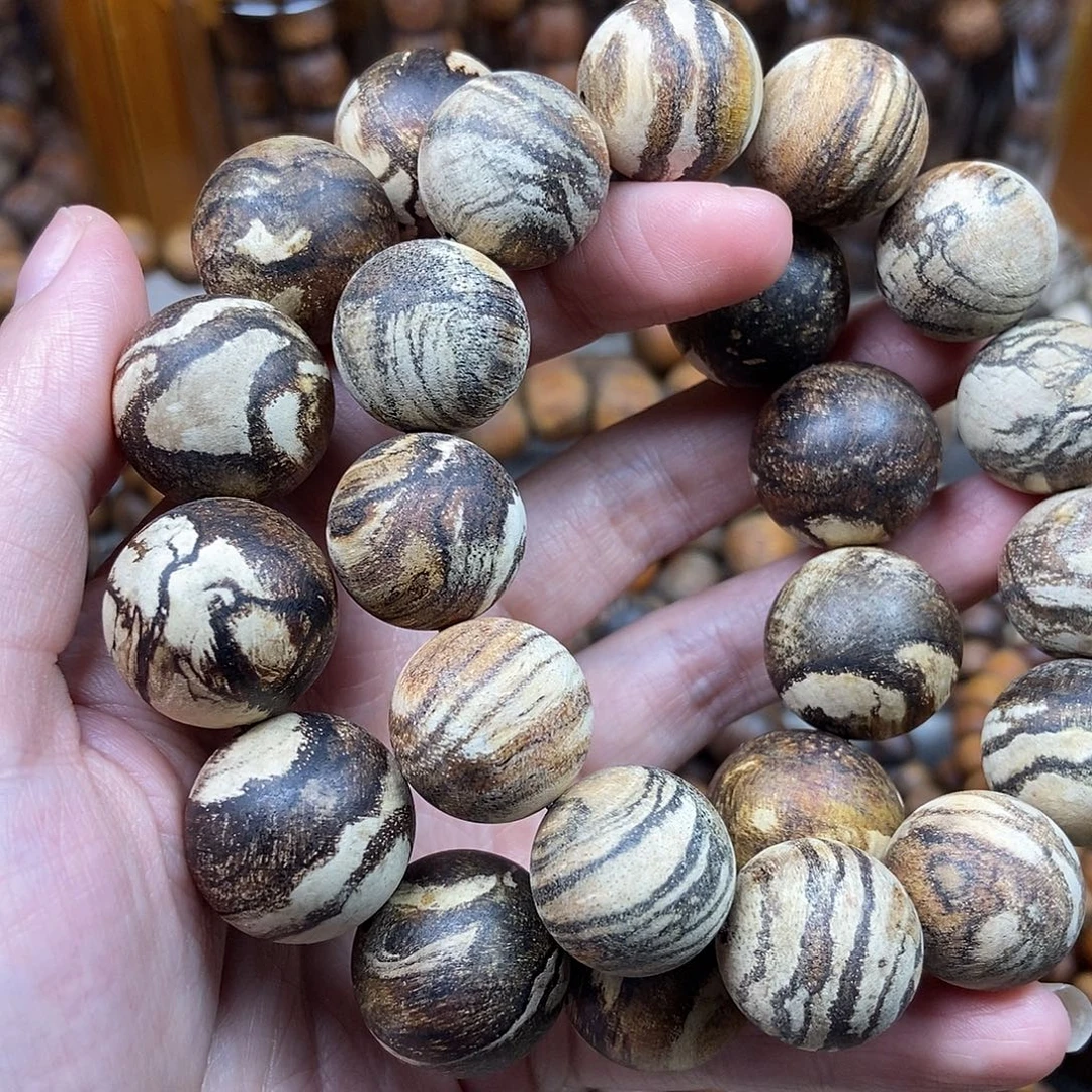 天***乐贡木贡木贡木贡木