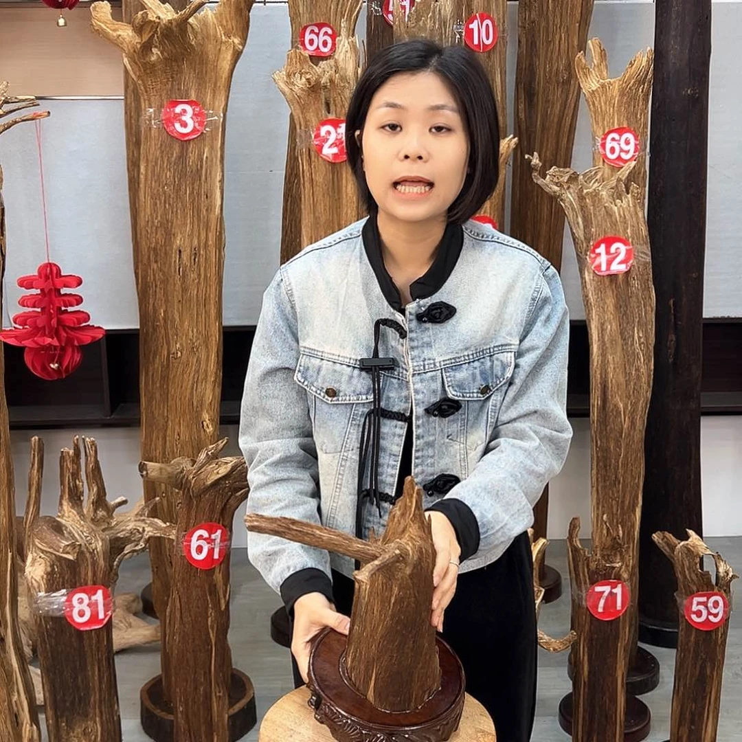 沉香摆件海南沉香摆件