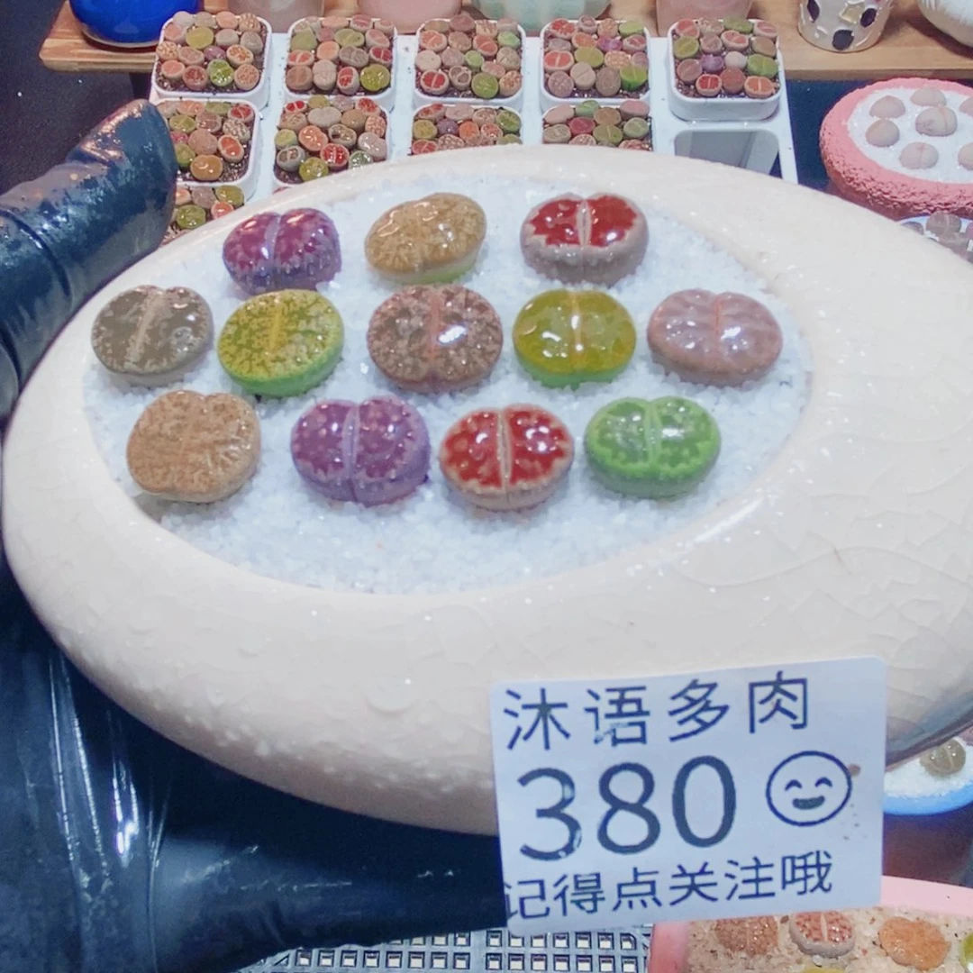 用***5一物一拍 所见即所得 380