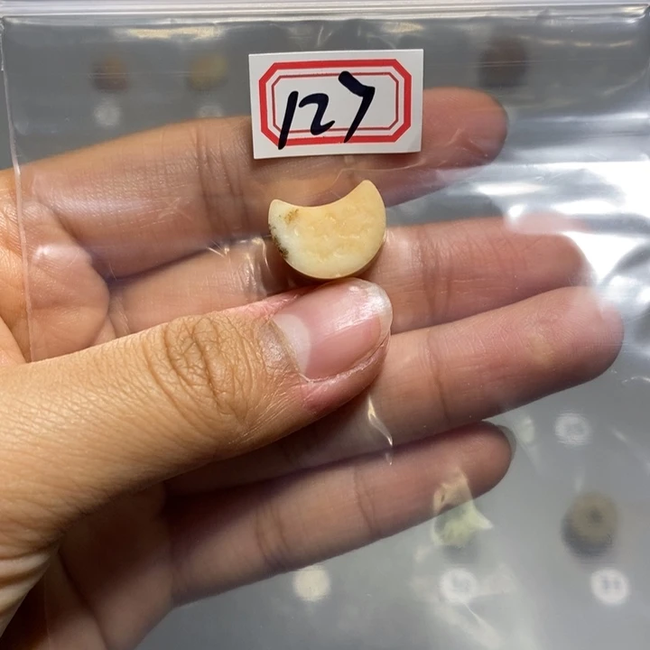 蛇纹石玉颈饰未镶嵌落**纷