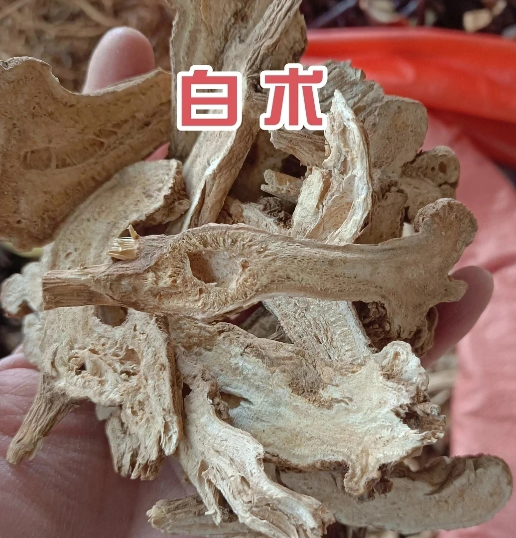 【白术】贵州精选白术可煲汤煮水还能搭配茯苓煮水的养生食材