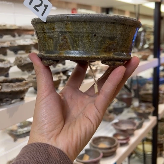 红陶12x3.5/121////