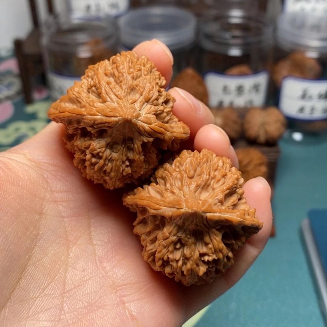 核桃41尺全品满天星