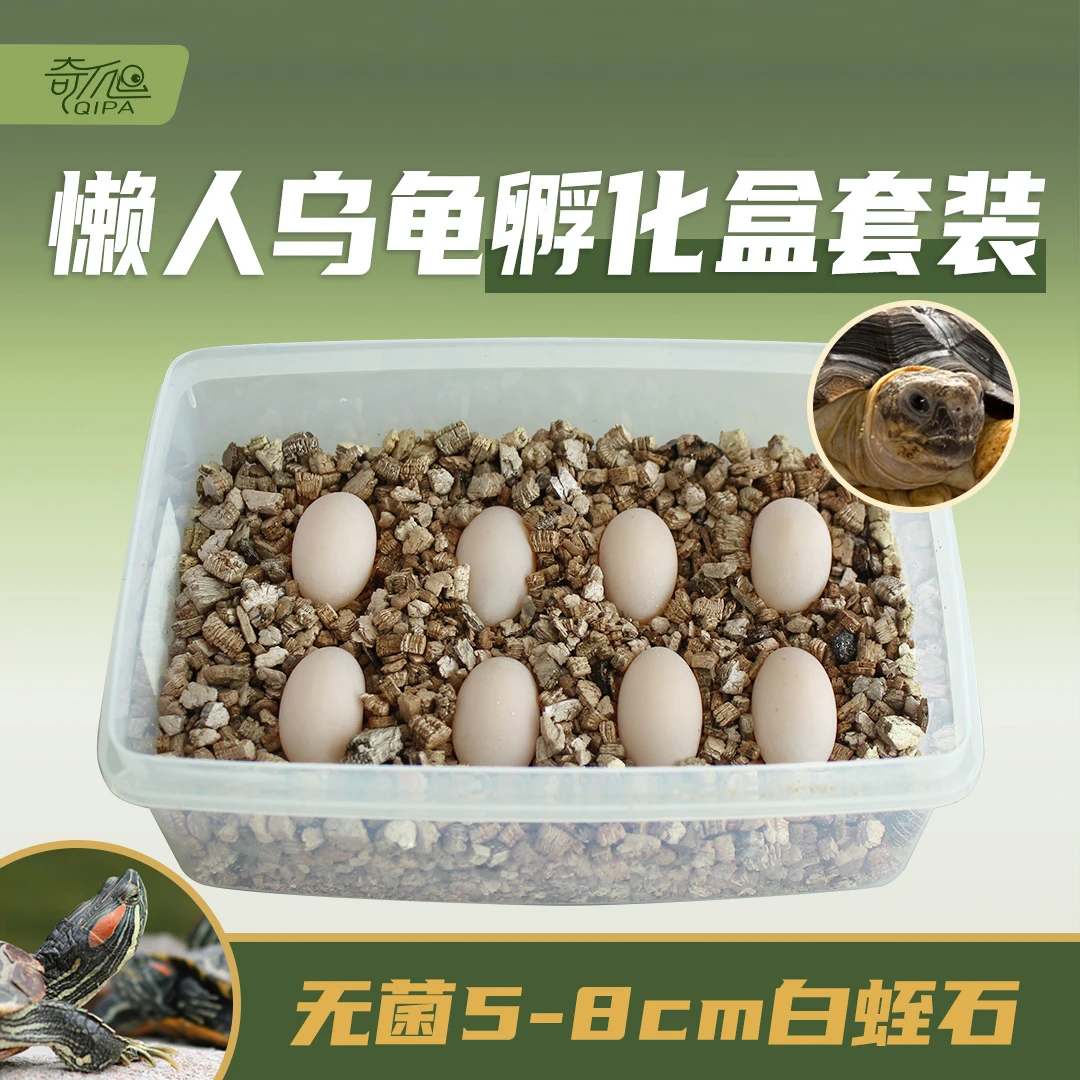 蛭石孵化乌龟白蛭石守宫蛇蛋蜥蜴大颗粒爬宠专用盒箱乌龟蛋孵化器