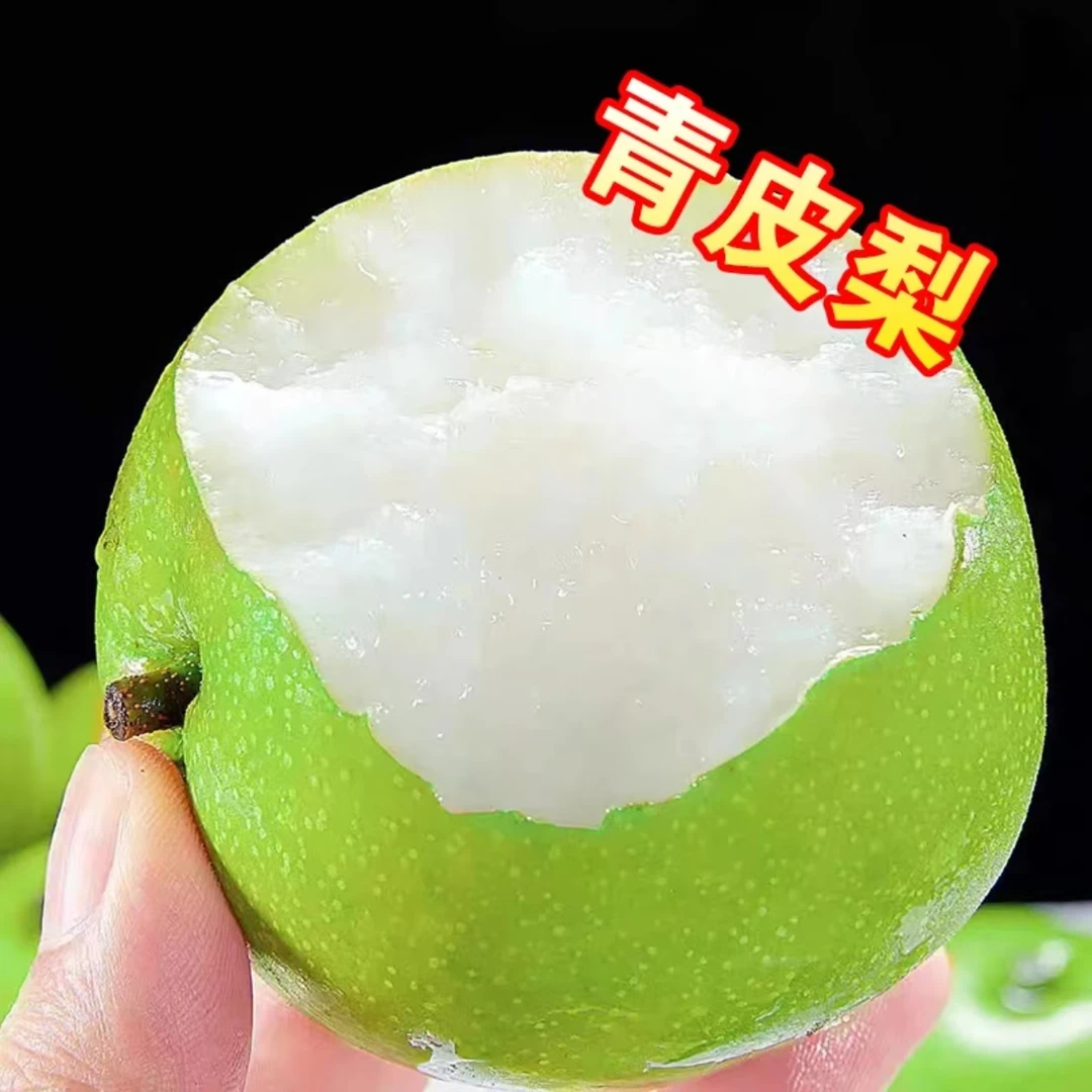 【现摘现发】正宗陕西早酥梨当季青皮梨新鲜水果砀山梨子脆甜薄皮