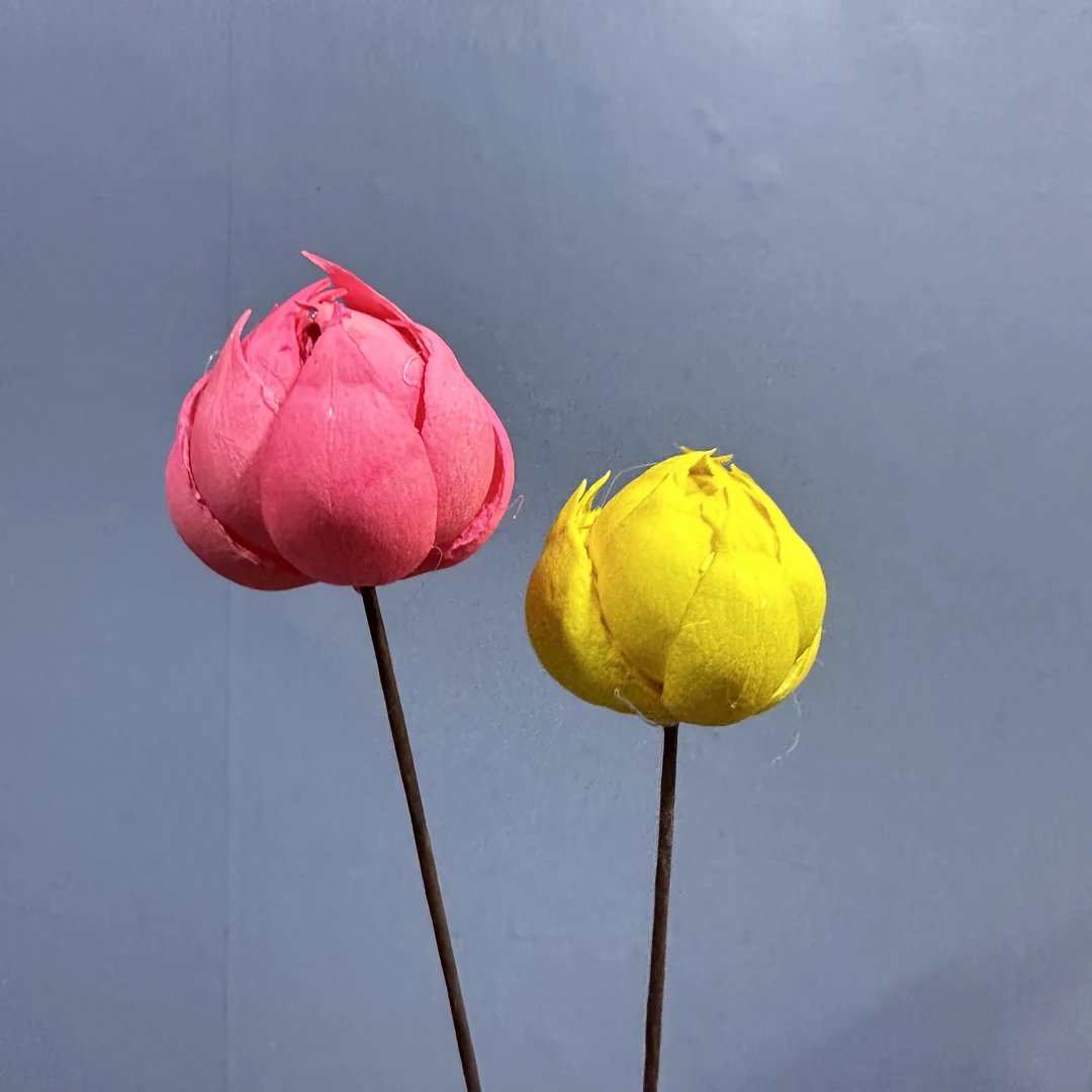 【干花组合】干荷花干莲蓬插花永生花风干花材网红爆款小清新摆件