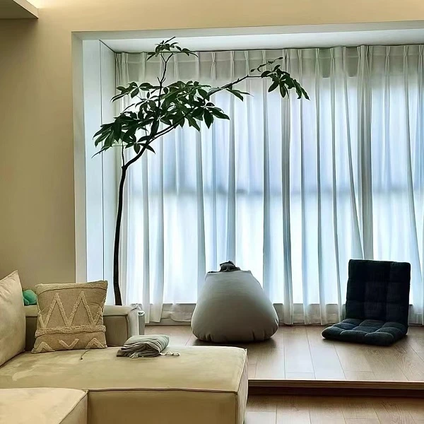 原生老桩发财树直播间一物一拍链接