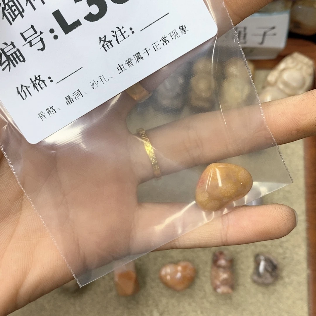 硅化珊瑚（珊瑚玉）n未镶嵌?****?