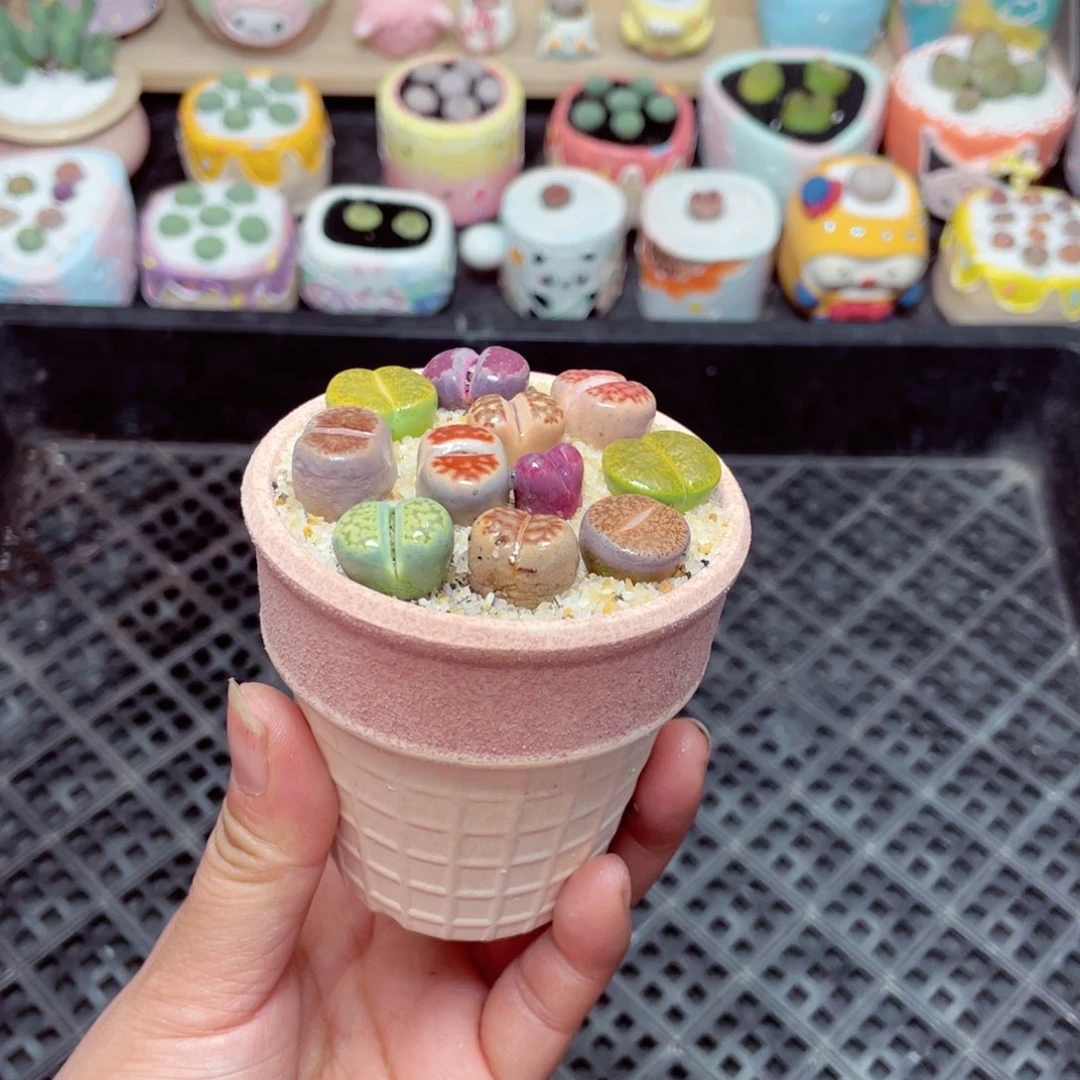 w1639 -零下地区拍保温箱-15支持寄养