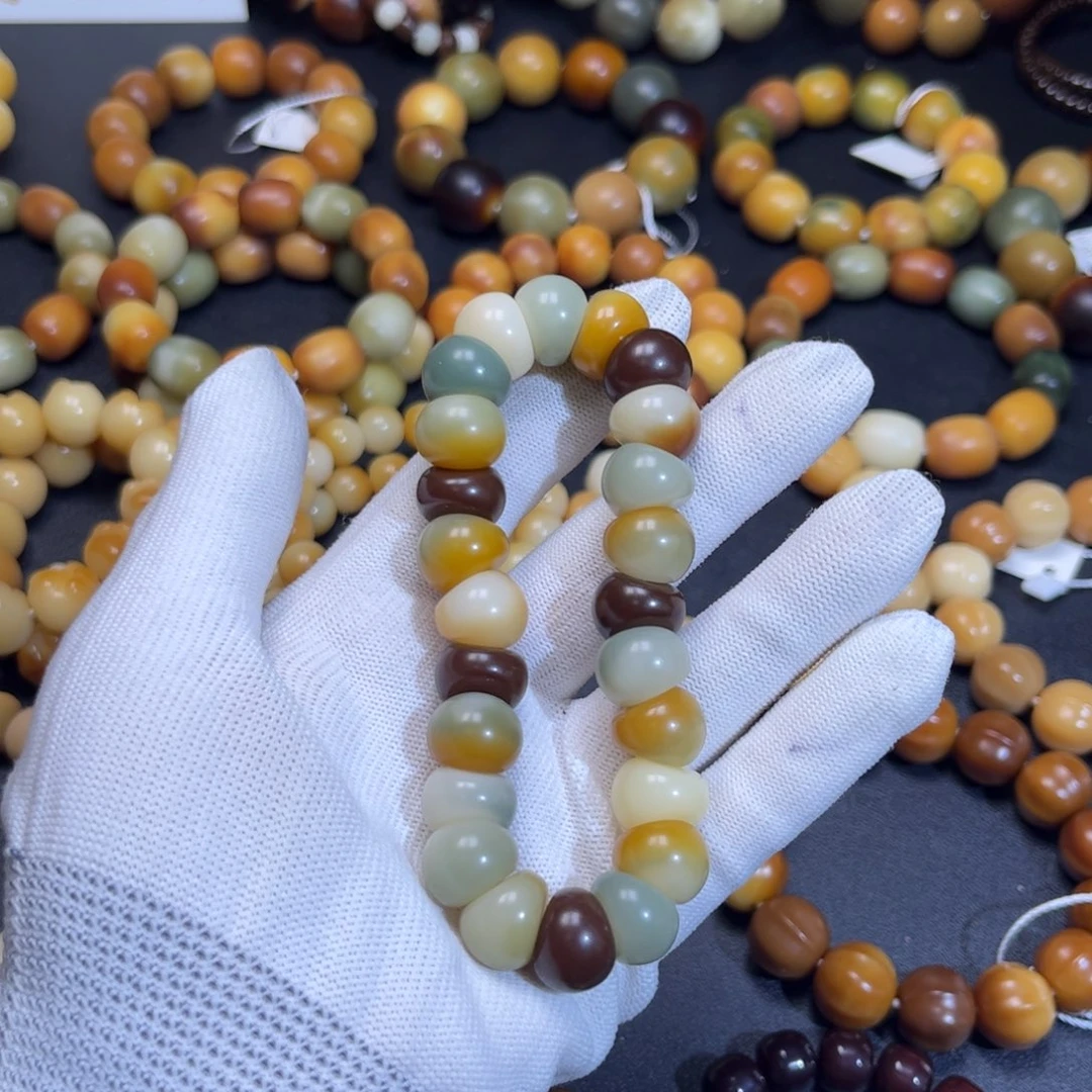 菩提根/象牙果吊坠多宝蒜瓣大肠全品