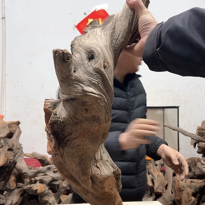 柏木幸*我们都是好孩子啊哈哈哈
