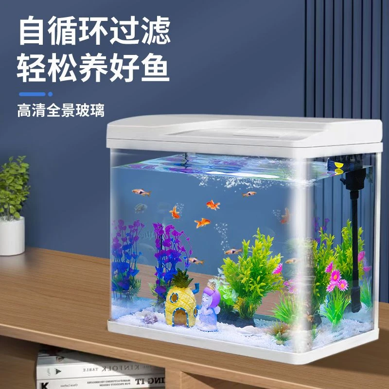 福利款生态鱼缸办公室鱼缸小型免换水新款金鱼缸懒人缸水族箱循环