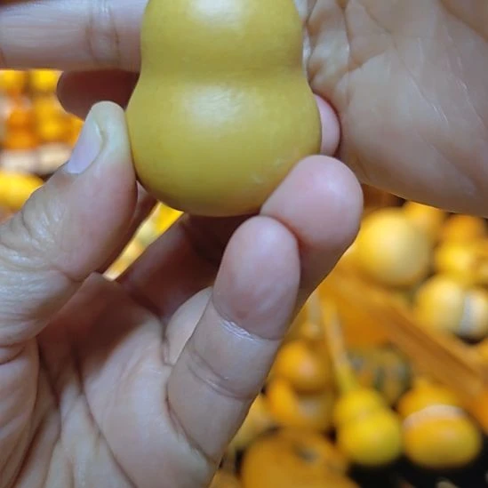 红***愚大叶紫檀（黑酸枝木类）