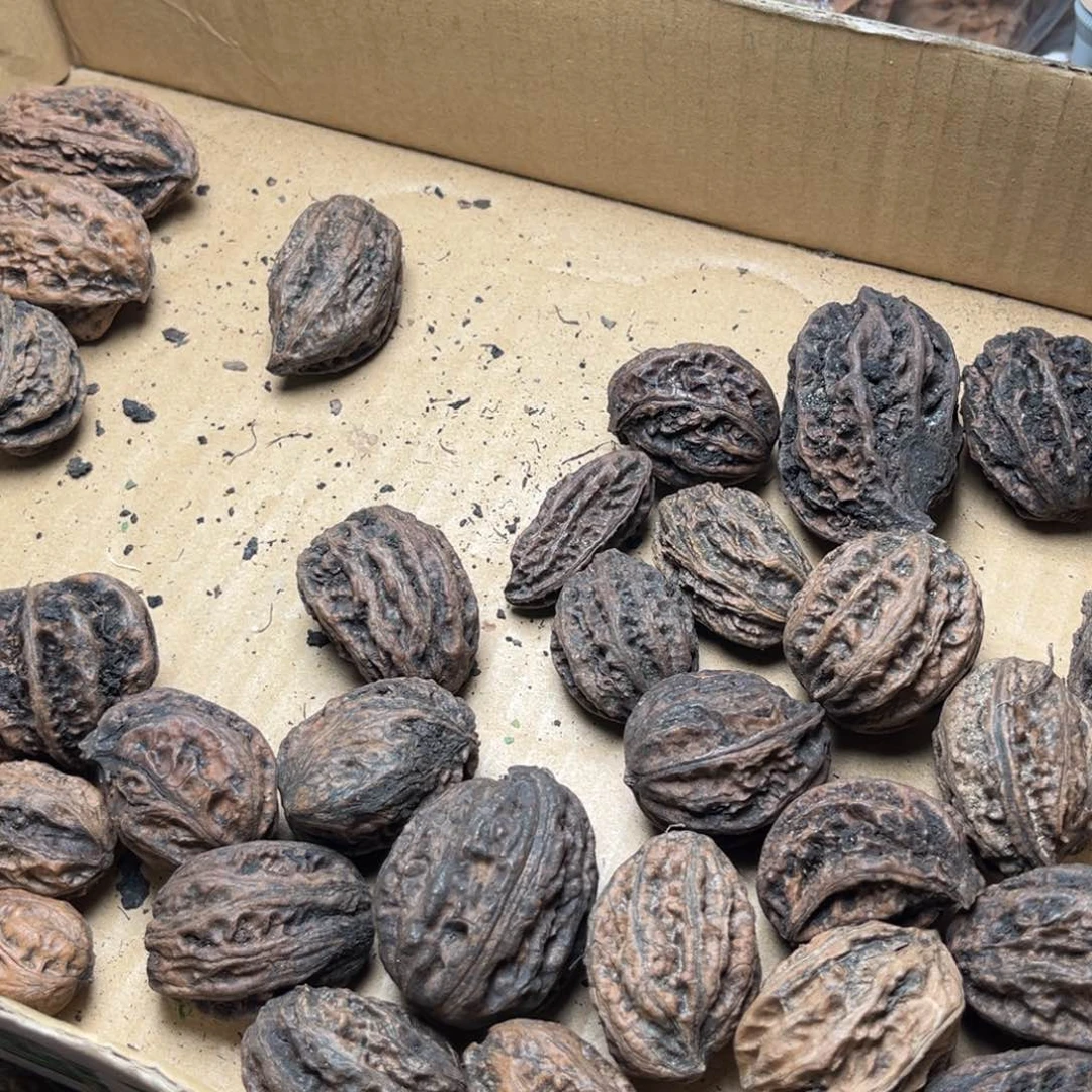 手串文玩核桃核桃74