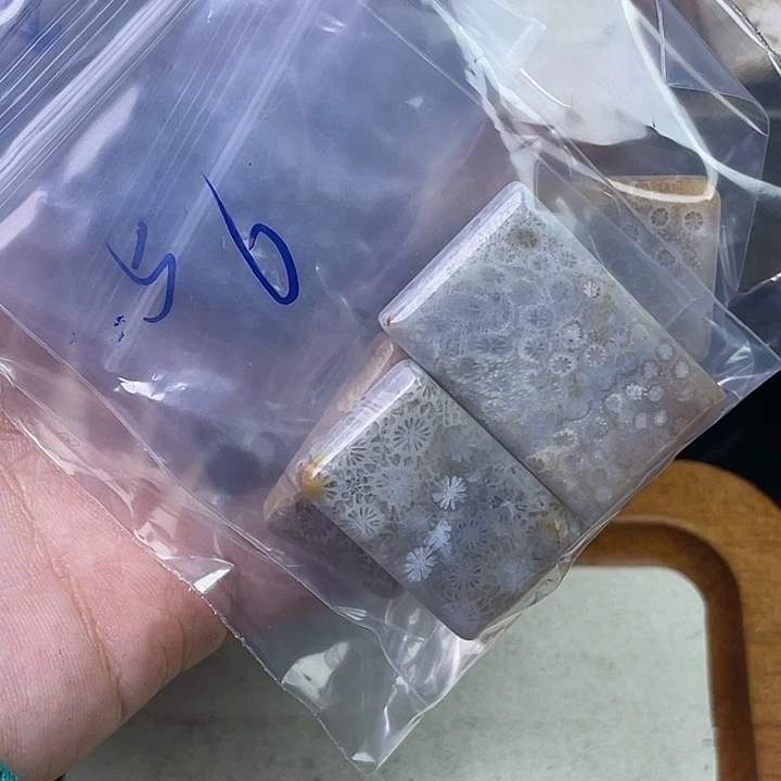 硅化珊瑚（珊瑚玉）珠宝合金合金画*生