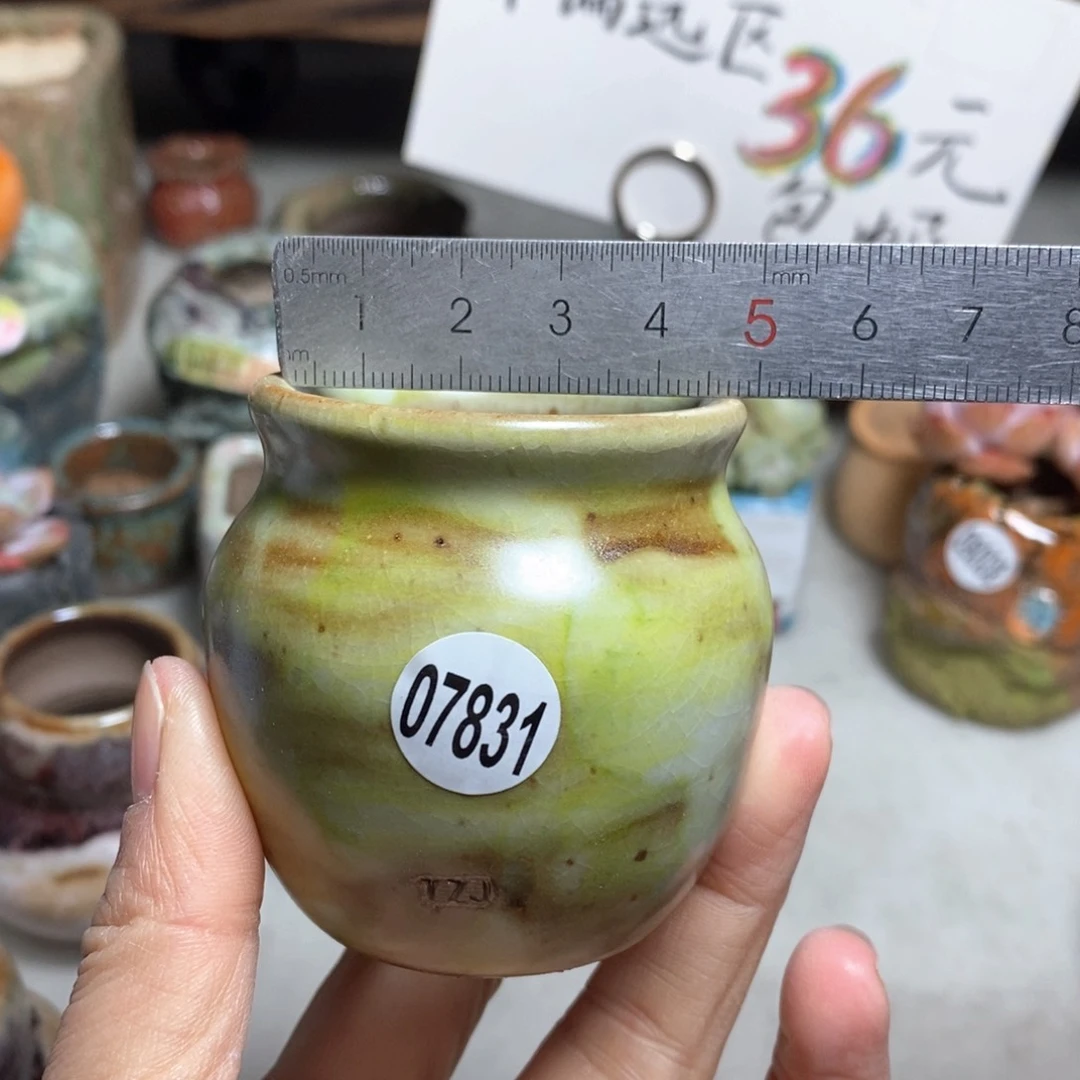 花盆拍5送一个小礼物