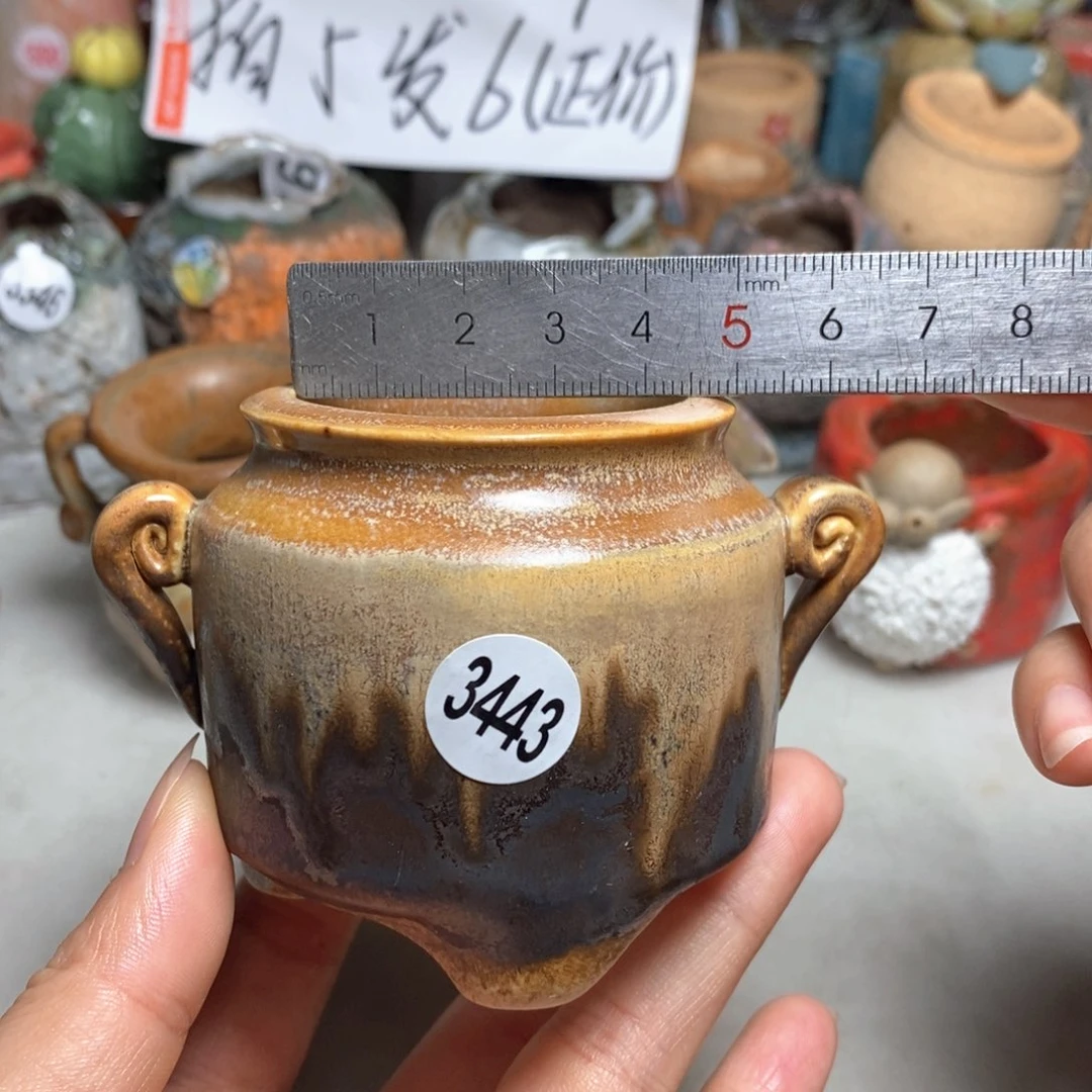 拍5送一个小礼物