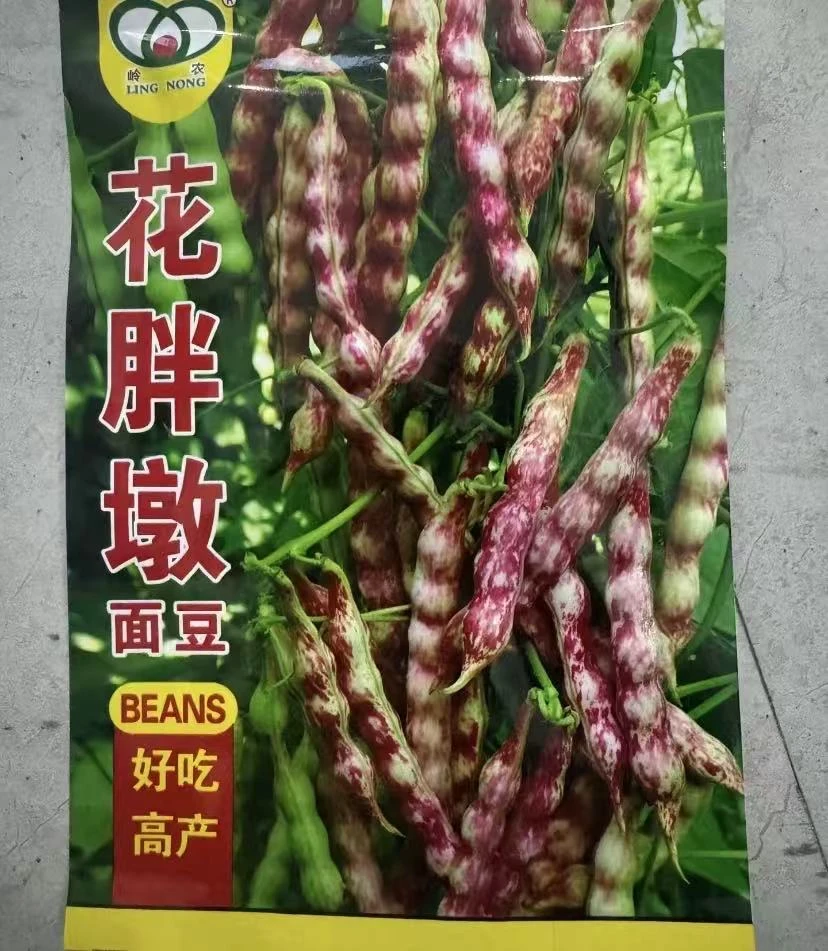 【花胖墩面豆角种子】四季种植盆栽地栽阳台小院种植