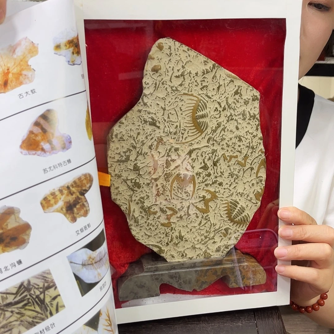 家居装修设计案例分析