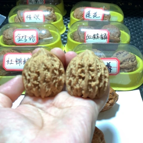吊坠文玩核桃大沽石
