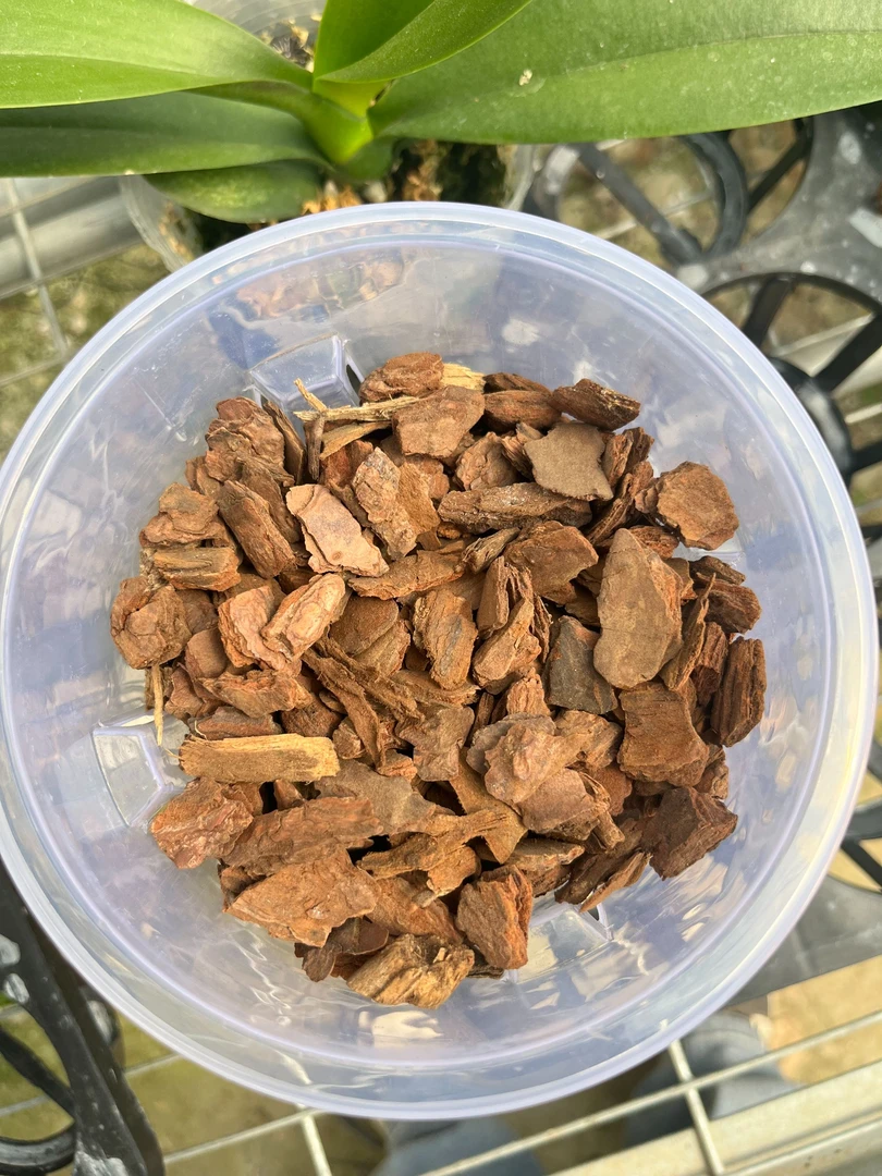 蝴蝶兰【升杯专用植料】