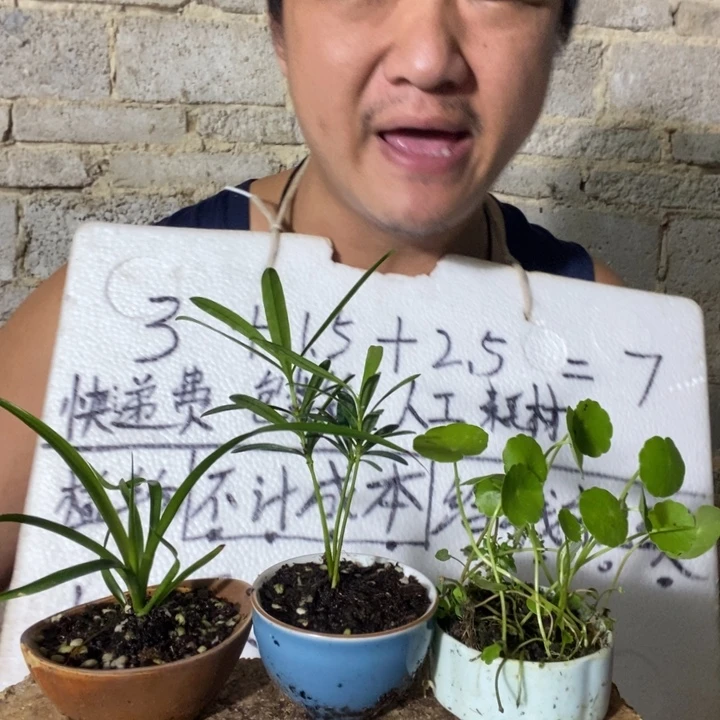 退款拉黑一物一拍314