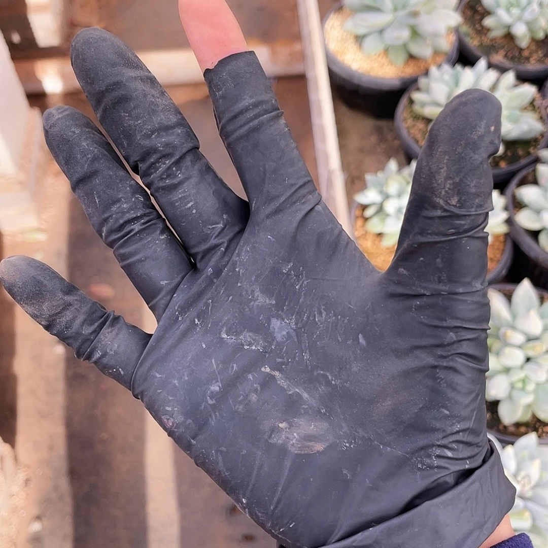 七***呀          存款