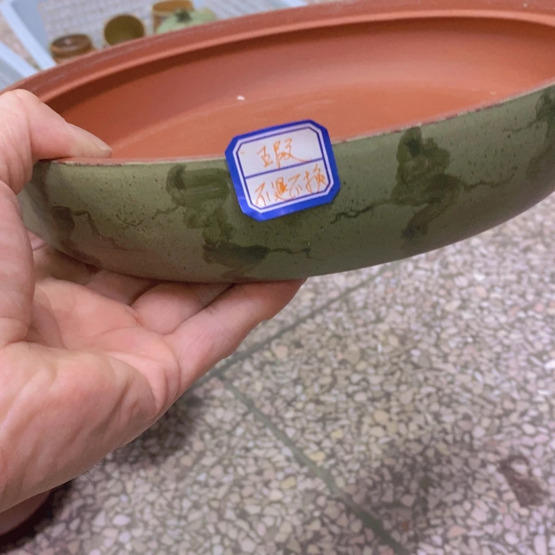茶杯紫砂紫砂紫砂