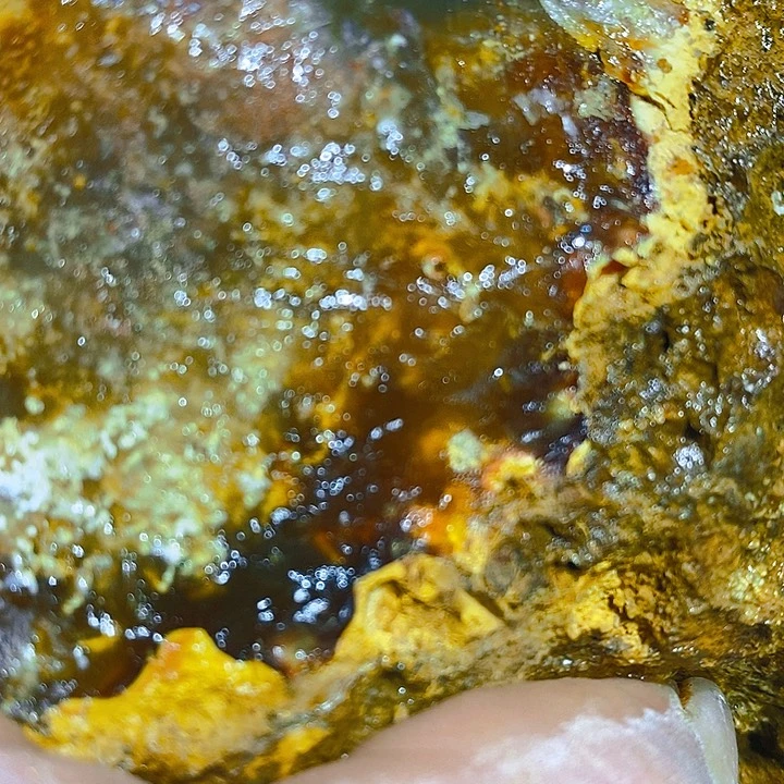 定制玛瑙魏*凤海口咯哦哦哦