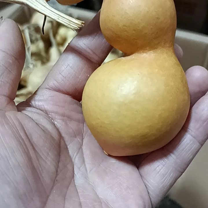 哈**串葫芦葫芦葫芦葫芦葫芦葫芦