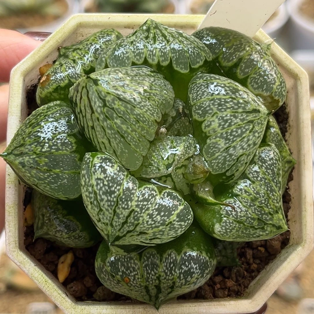 我***久10裹实生福利专场