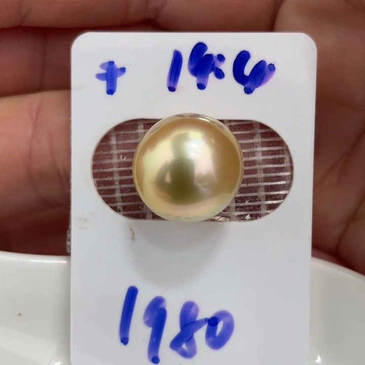 海水珍珠裸珠14-15mm炫彩金珠