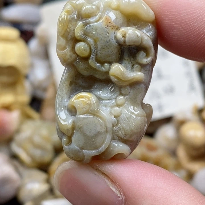 颈饰未镶嵌硅化珊瑚（珊瑚玉）小