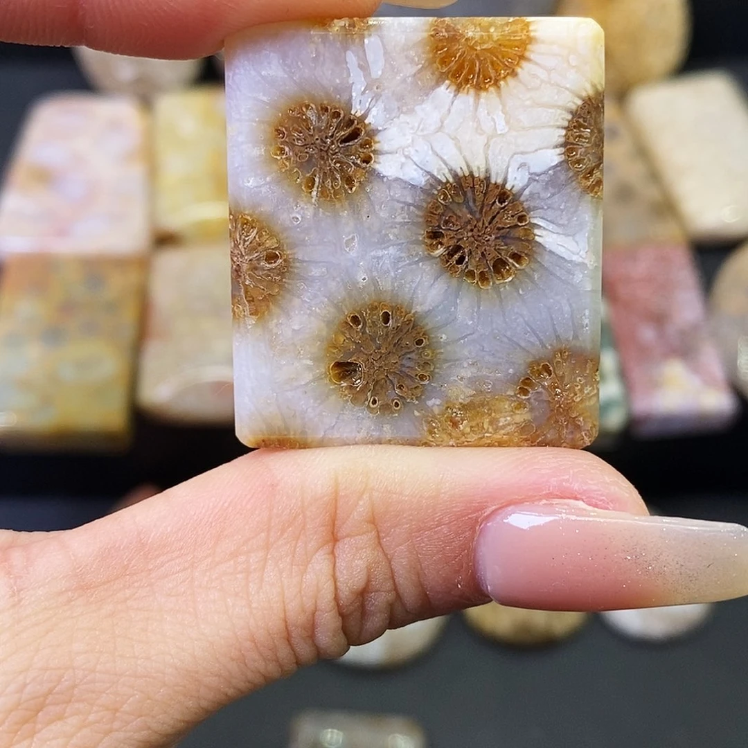 硅化玉颈饰合金仲**羽