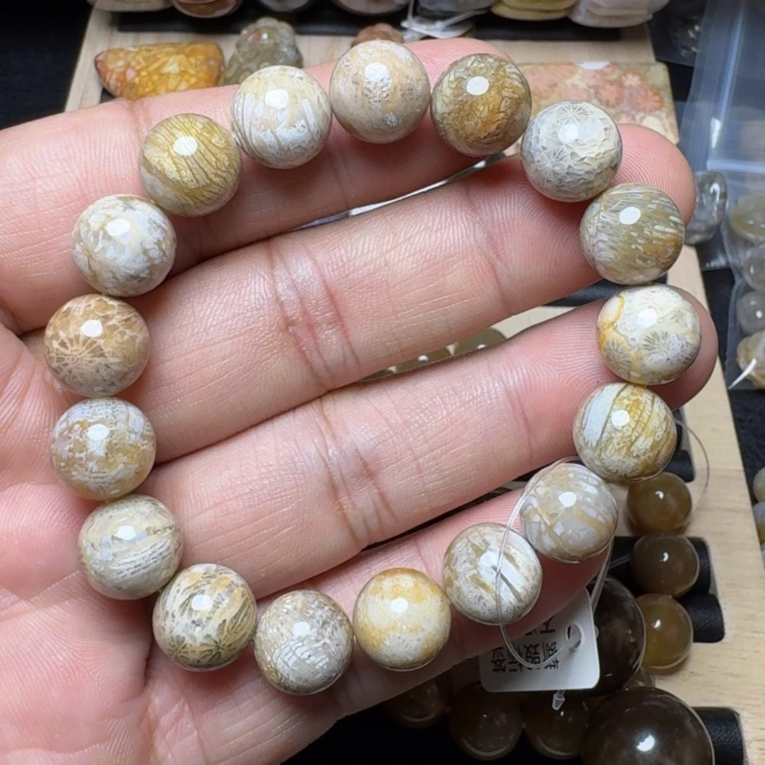 未镶嵌纯天色有机玉石保真色硅化玉