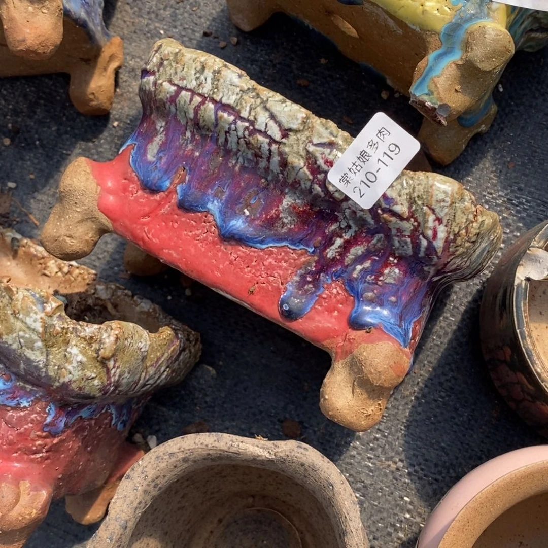 红陶心**飞119号多肉盆一号呀