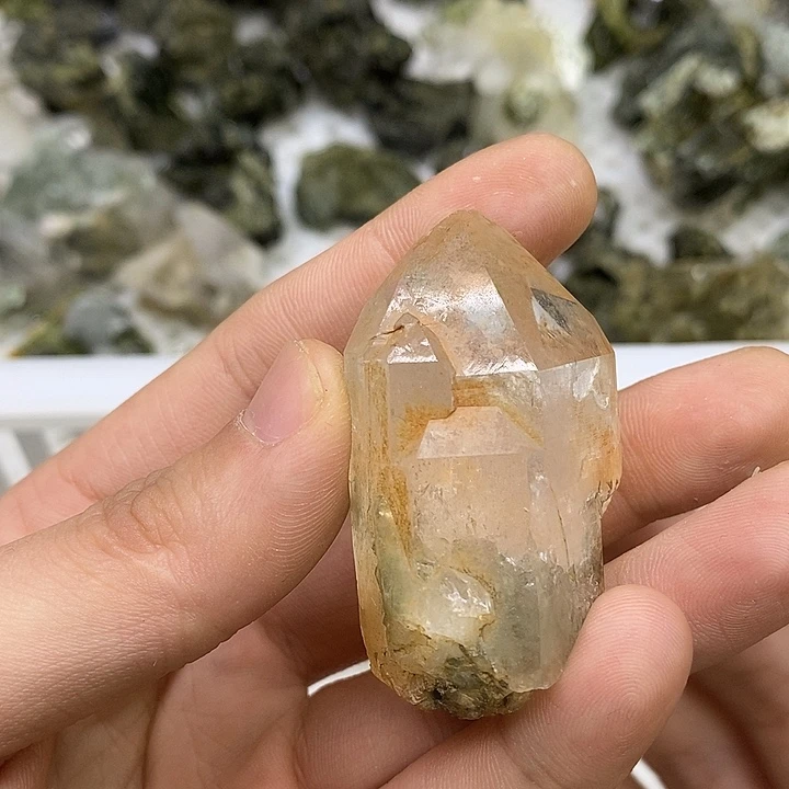 有机玻璃绿幽灵共生017