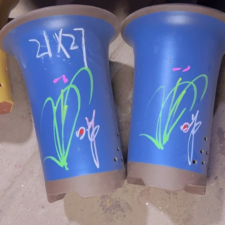 周深周深周深周深