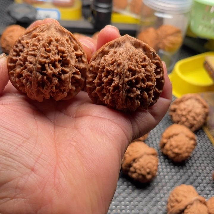 文玩核桃把件长****歌满天星45