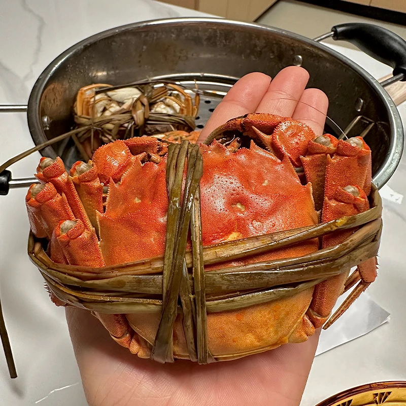 【活蟹现发】大螃蟹公2.6-2.3两+母2.0-1.7两8只送2只顺丰包邮